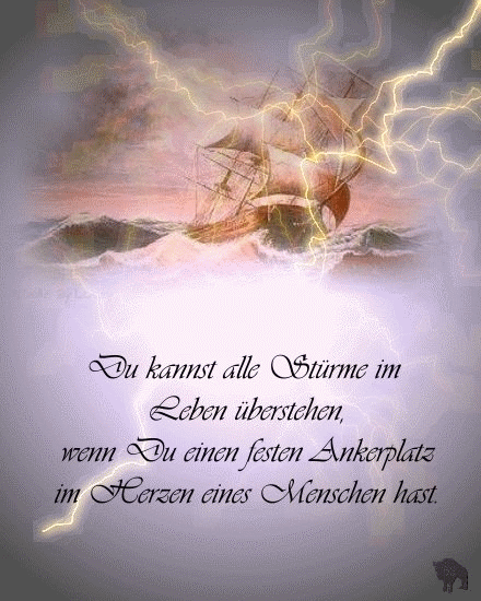 ext. Bild