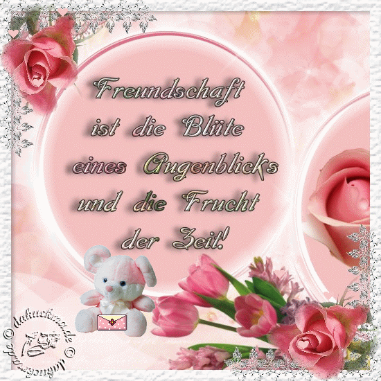 ext. Bild