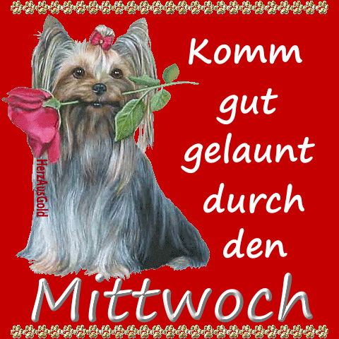 ext. Bild